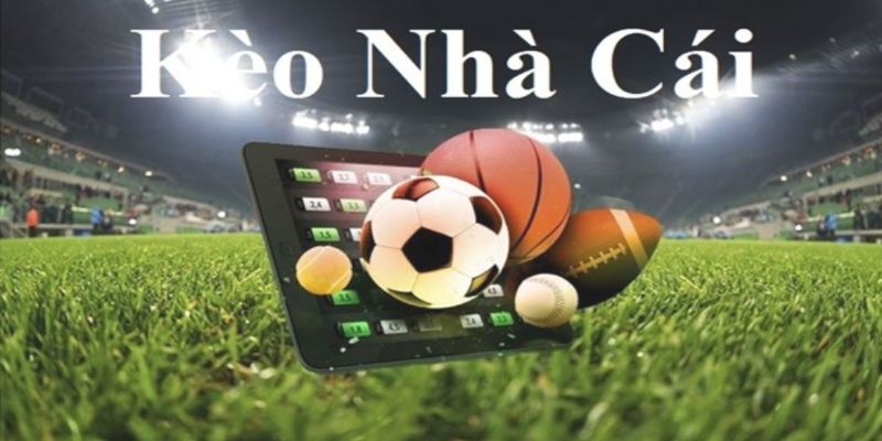 Kèo nhà cái Helo88 - Bí quyết đọc bảng kèo hiệu quả Những loại kèo cược phổ biến trong bảng đặt tiền nhà cái