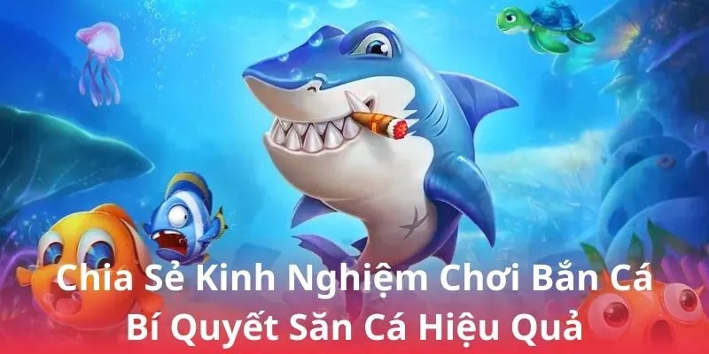 Mẹo chơi bắn cá ăn xu nhiều cho tân binh thắng lớn Các chú ý nhỏ giúp bạn vận dụng tốt các mẹo chơi và thắng lớn